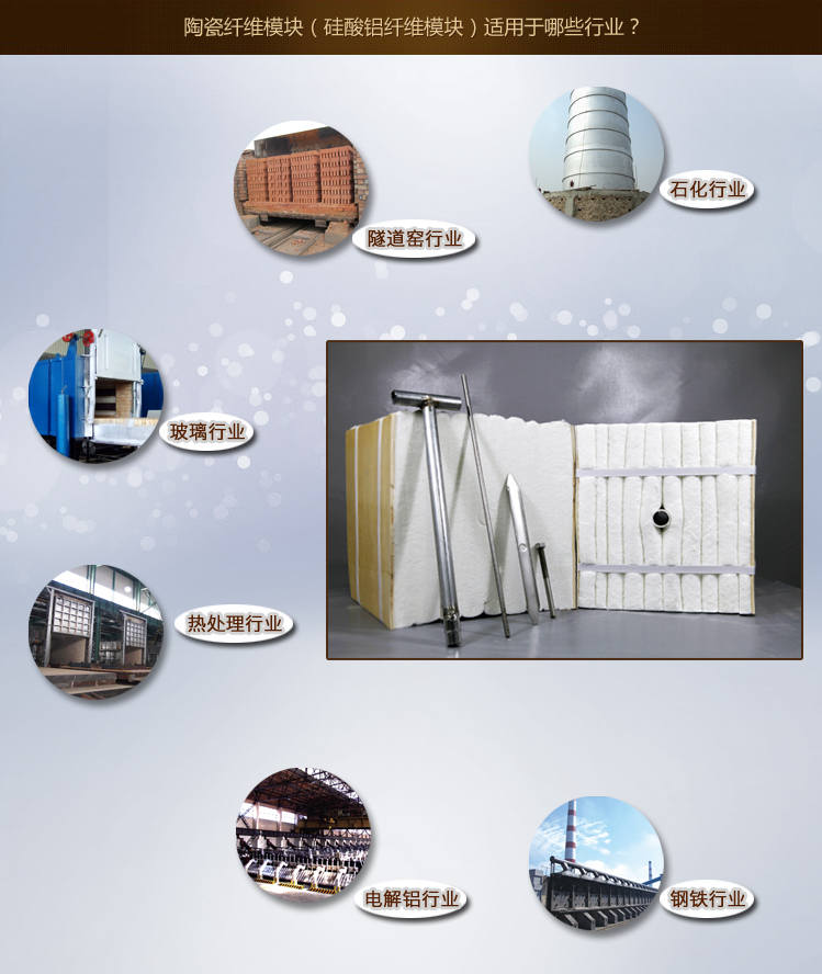 鋼鐵石化行業專用陶瓷纖維模塊